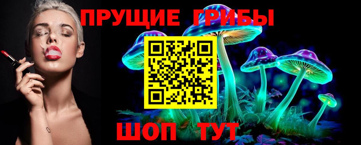 Галлюциногенные грибы GOLDEN TEACHER Каменка